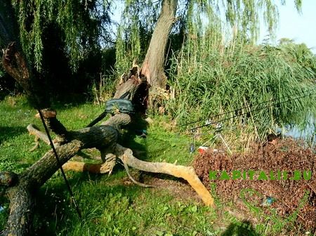 20090211hajduszovatito04.jpg